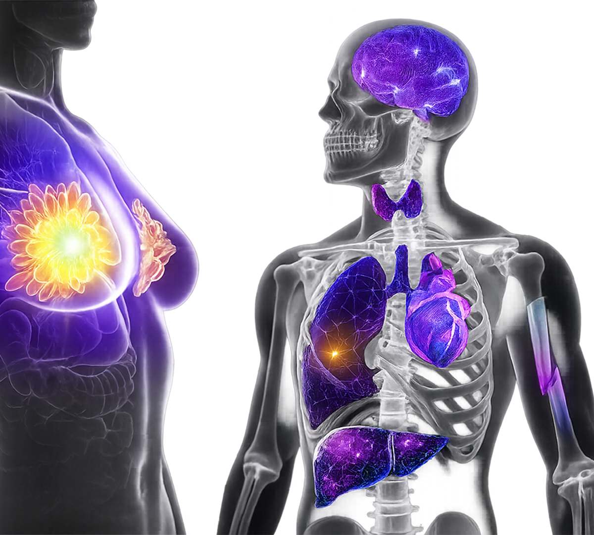 Radiologist reviewing medical imaging with AI-assisted diagnostic technology